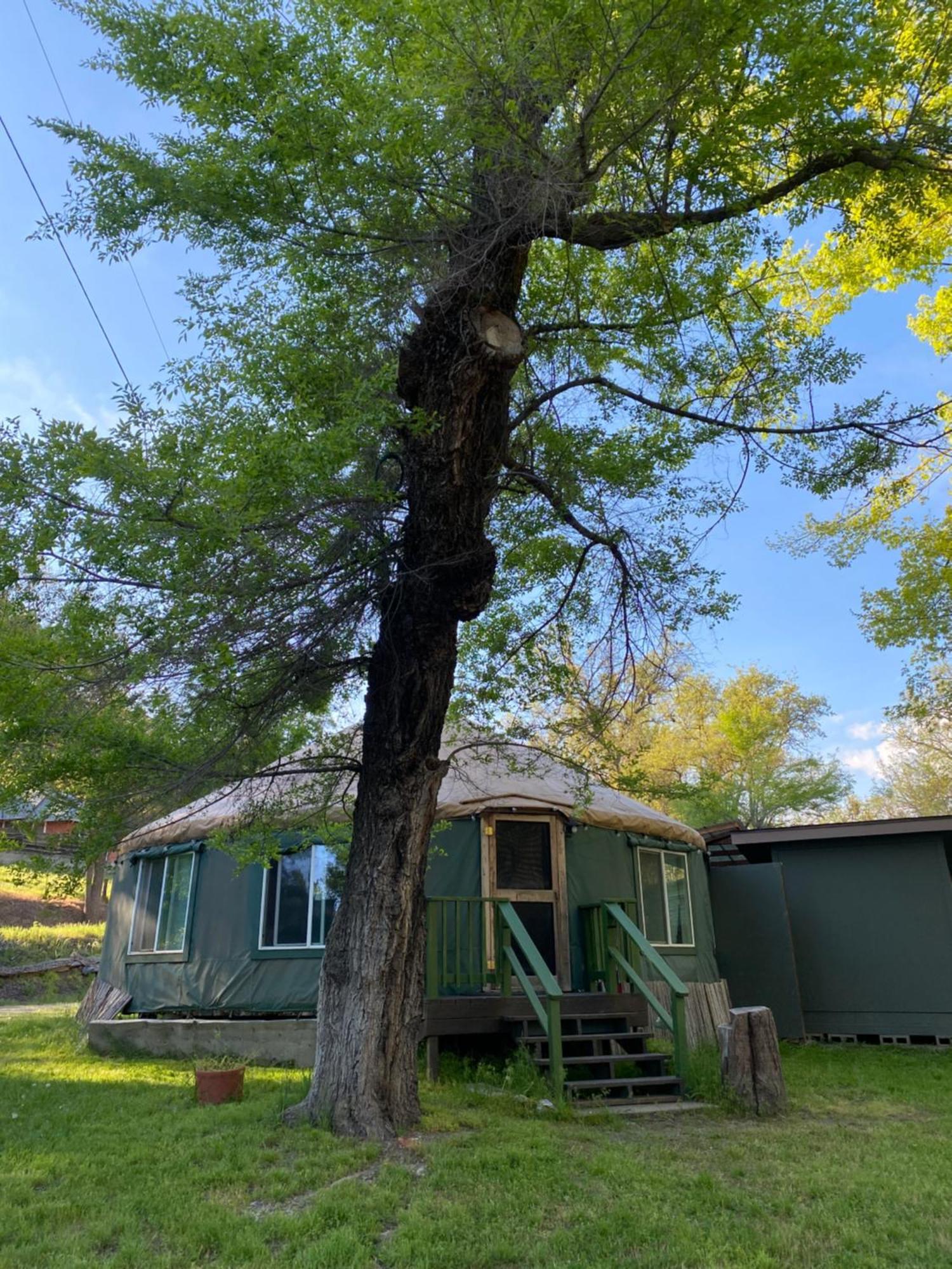 Seven Circles Lodge&Retreat Badger Εξωτερικό φωτογραφία